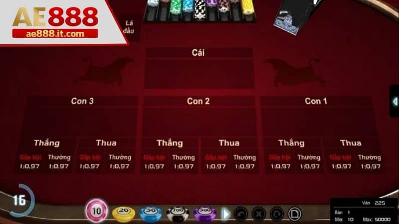 Đặt cược và tiến hành chơi theo trình tự