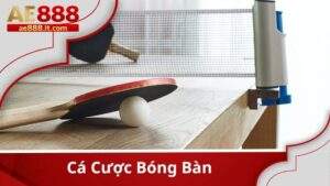 Cá Cược Bóng Bàn – Khám Phá Các Kèo Cược Hấp Dẫn Tại Thể Thao AE888