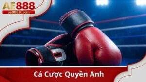 Cá Cược Quyền Anh Tại AE888 - Mỗi Cú Đấm Là Một Cơ Hội Vàng