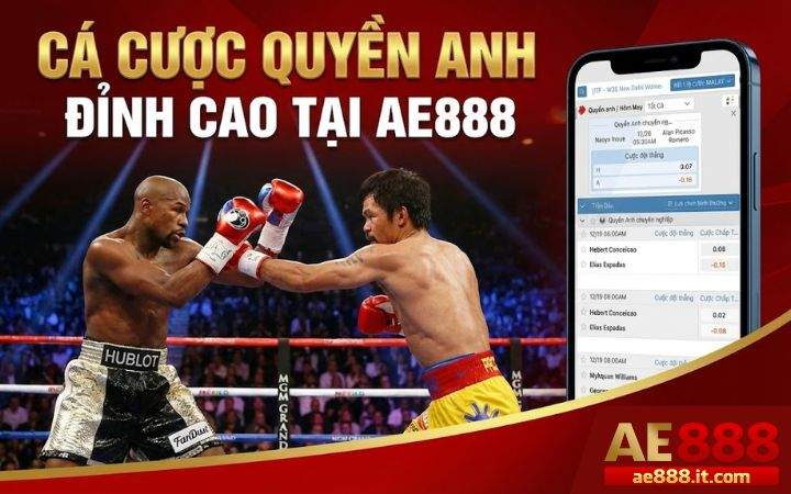 Giới thiệu cá cược Quyền Anh tại AE888